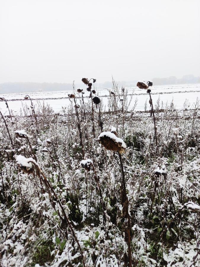 Landidylle Mit Garten, Whirlpool Und Klima Reken Kültér fotó