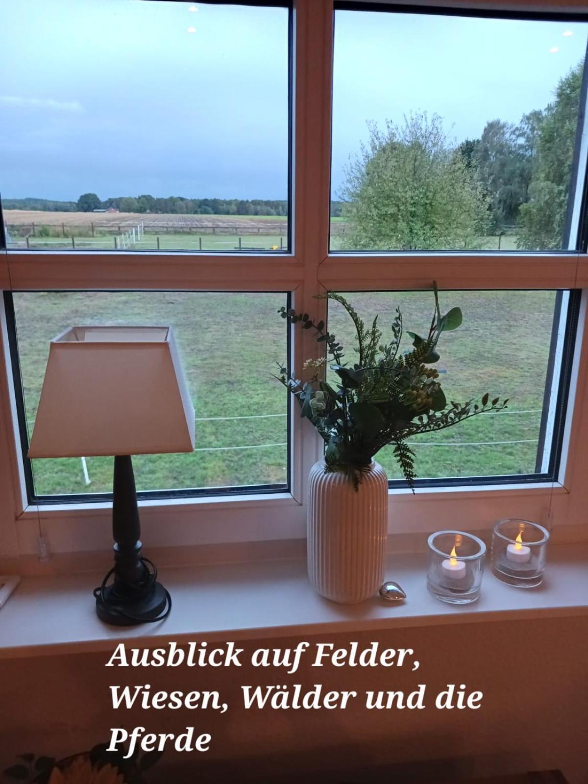 Landidylle Mit Garten, Whirlpool Und Klima Reken Kültér fotó